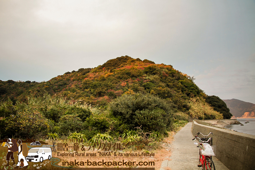 愛媛県 八幡浜 大島の地大島を散策中。この季節の紅葉も綺麗な島