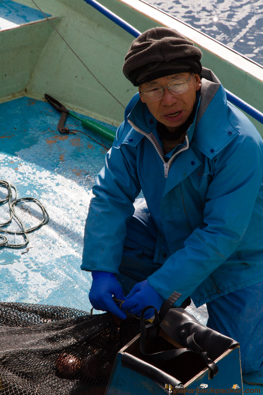 海鼠 ナマコ 漁師