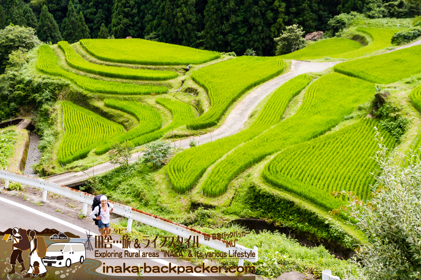 徳島県上勝町 樫原の棚田 歩く バックパッカー 旅行 tokushima kamikatsu rice terrace walking
