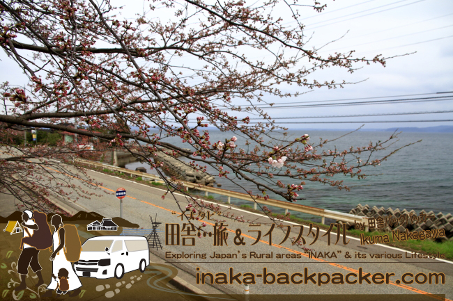 能登・穴水町 能登鹿島「能登さくら駅」（石川県） - 駅前には綺麗で湖のように穏やかな里海が広がる。この写真は昨日（2015年4月7日）撮影したもの。