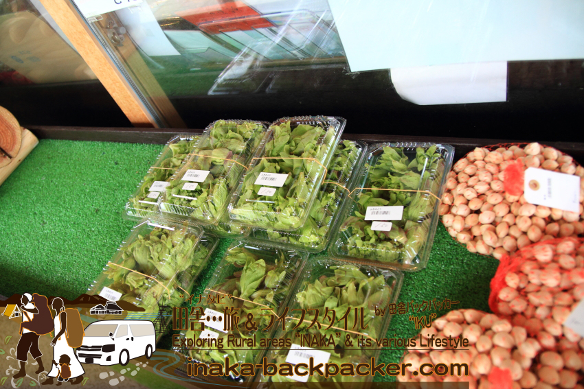 道の駅 白米千枚田の売店。旬の野菜や山菜も販売している。フキノトウの芽。
