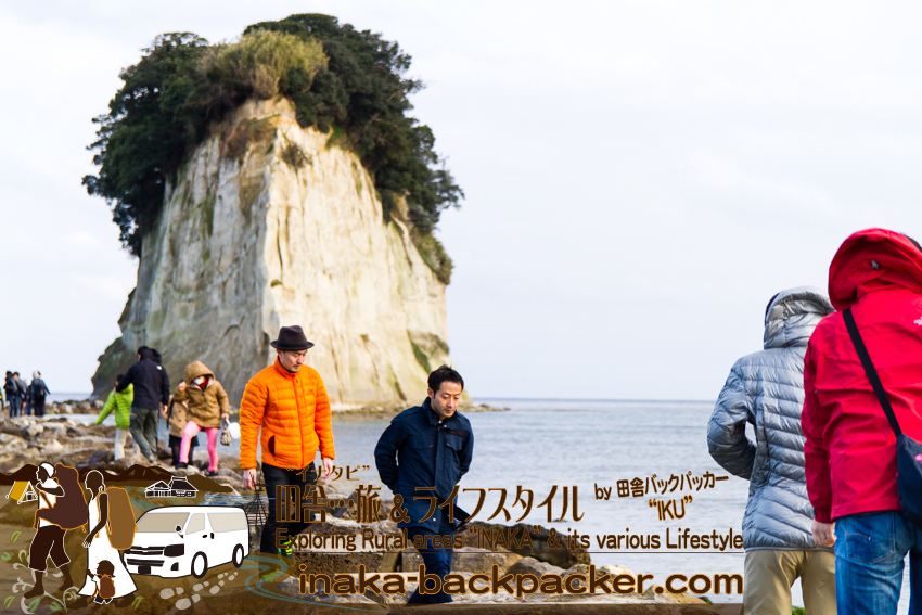 suzu mitsukejima island 石川県 能登 珠洲 見附島 サギ カラス 住む島