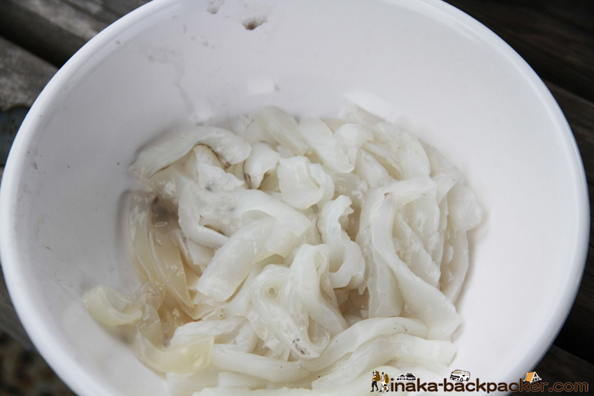 熊本 天草 アオリイカ kumamoto amakusa bigfin reef squid