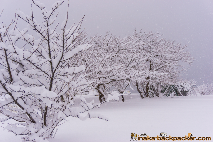 北陸 穴水町 大雪 雪かき Heavy Snow Ishikawa Anamizu