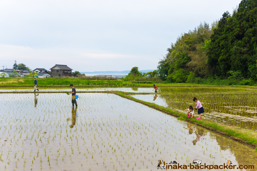 田舎時間 田植え inaka jikan rice activity
