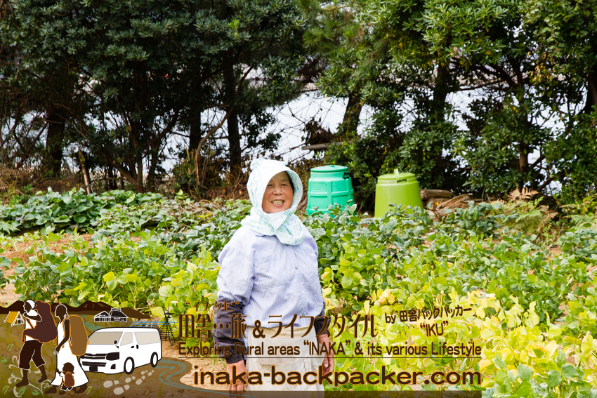 石川県 奥能登一周中 - 大豆をつくるお母さん