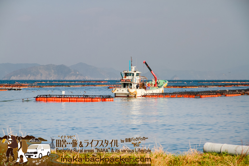 愛媛県 日振島 養殖事業 筏 Ehime Hiburishima island aquaculture japan