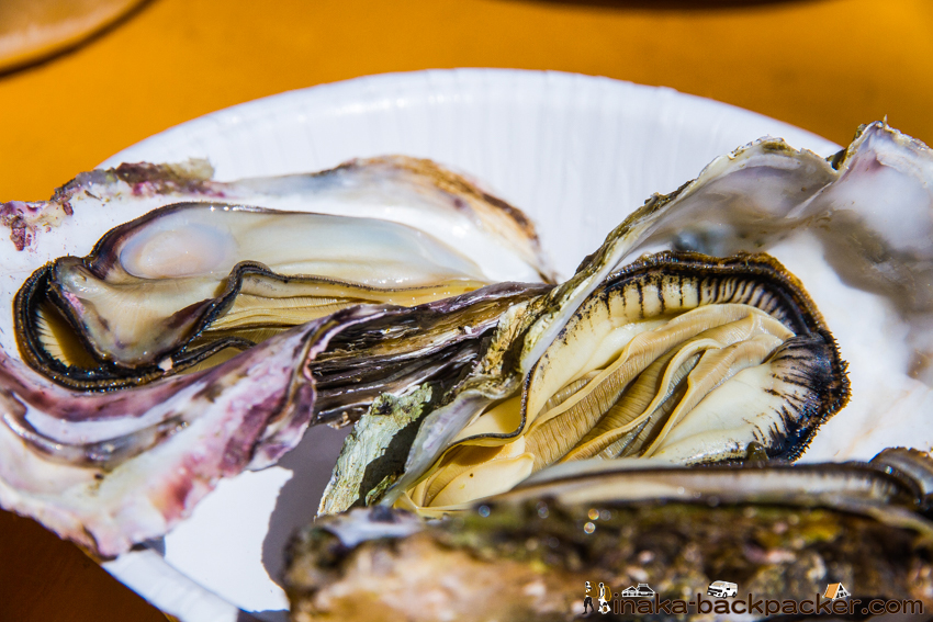 能登牡蠣 かき Noto Oyster in Japan