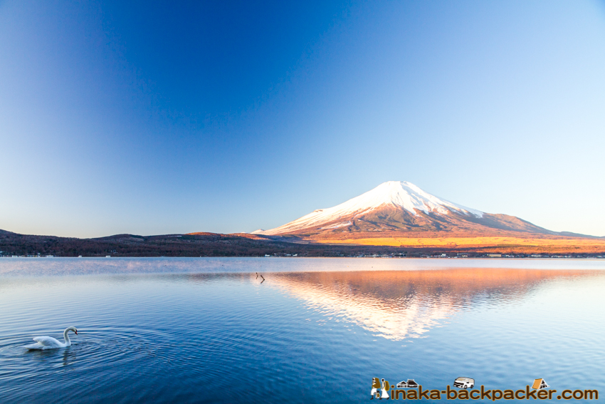 fuji, kawaguchi lake, 富士山, 河口湖