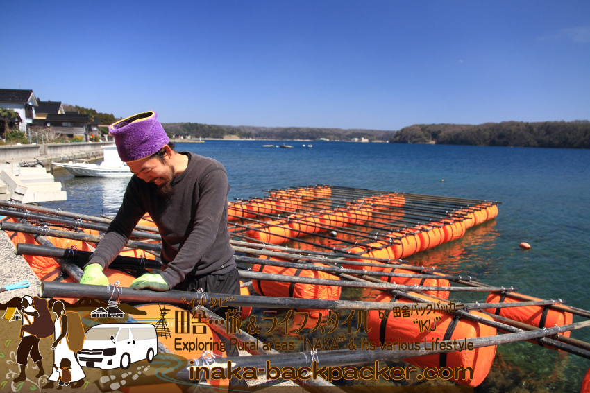 能登・穴水町中居（石川県） - 今年2015年3月、漁師のよしくん（齋藤義己（さいとう よしみ）さん）が一人もくもくと牡蠣棚をつくっていた。Coast Tableにはきっとお客さんが沢山くるだろう。 
