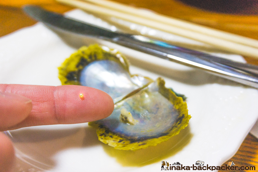 天然 真珠 石川県 日本海 阿古屋貝 真珠貝