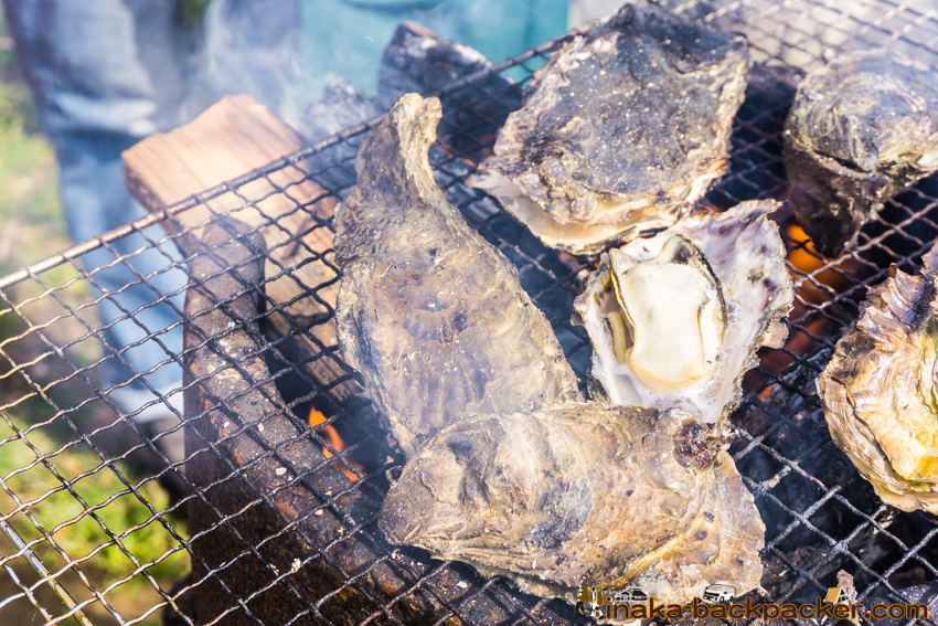 Oyster BBQ in Anamizu 牡蠣 BBQ 穴水町 石川県 能登