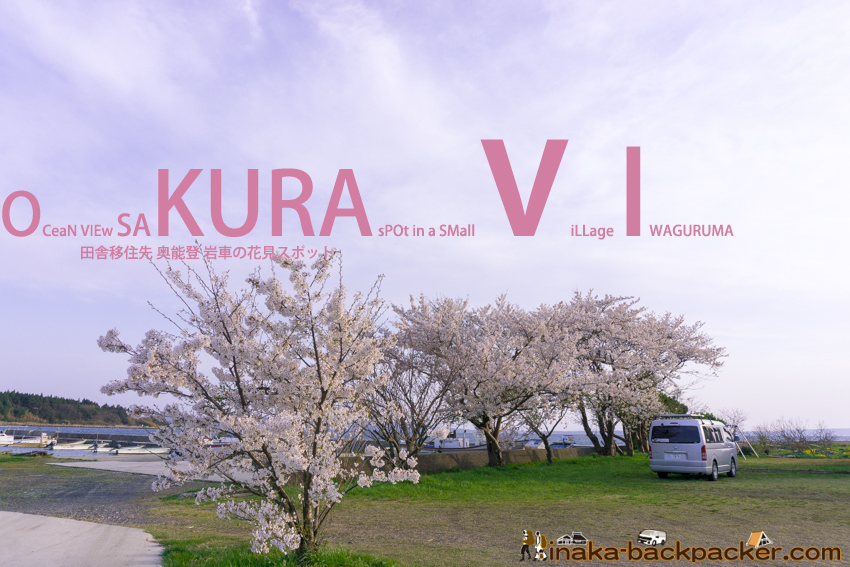 Sakura in Iwaguruma Anamizu 桜 花見スポット 穴水町 岩車