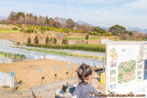 神奈川県 里山 畑シェア, 冒険 公園,あおいゆめの里