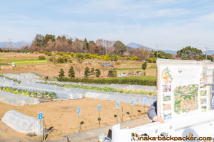 神奈川県 里山 畑シェア, 冒険 公園,あおいゆめの里