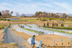 神奈川県 里山 畑シェア, 冒険 公園,あおいゆめの里
