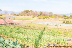 神奈川県 里山 畑シェア, 冒険 公園,あおいゆめの里