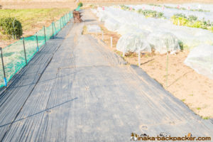 神奈川県 里山 畑シェア, 冒険 公園,あおいゆめの里