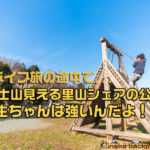 神奈川県 里山 畑シェア, 冒険 公園