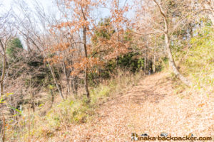 神奈川県 里山 畑シェア, 冒険 公園,あおいゆめの里
