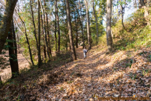 神奈川県 里山 畑シェア, 冒険 公園,あおいゆめの里