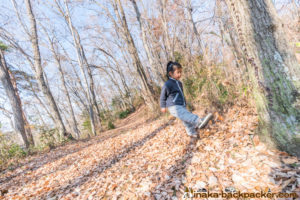 神奈川県 里山 畑シェア, 冒険 公園,あおいゆめの里