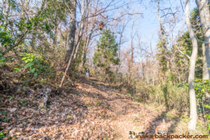 神奈川県 里山 畑シェア, 冒険 公園,あおいゆめの里