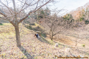 神奈川県 里山 畑シェア, 冒険 公園,あおいゆめの里