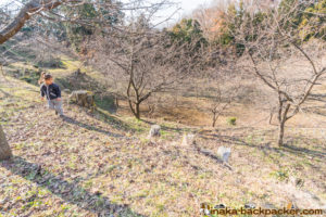 神奈川県 里山 畑シェア, 冒険 公園,あおいゆめの里