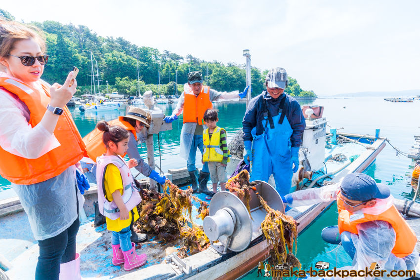石川県 穴水町 牡蠣 水揚げ かき漁師体験