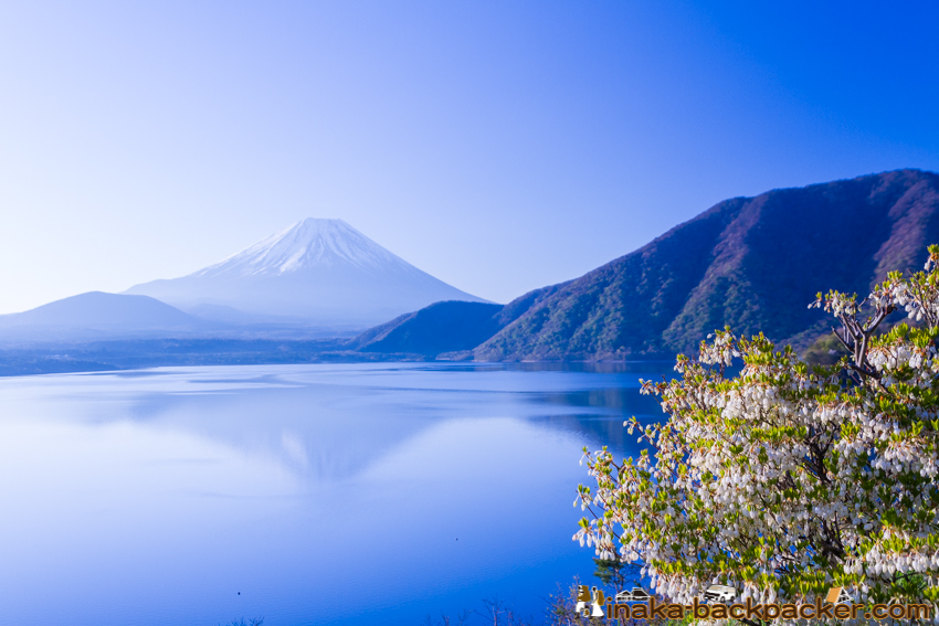 富士山 本栖湖