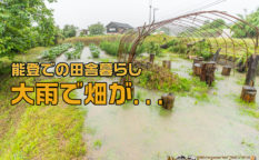 田舎暮らし 大雨,穴水町 大雨,石川県 大雨,畑 大雨,畑 水浸し