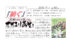 能登デモクラシー,五百旗頭幸男,石川テレビ,石川県穴水町,紡ぐ,つむぐ,滝井元之,穴水町,石川県