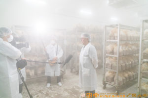 ホホホタケ,はなびらたけ,大井川電機製作所,テレビ静岡,くさデカ,静岡グルメ,キャンピングカー旅,車中泊,アルタモーダ,出張